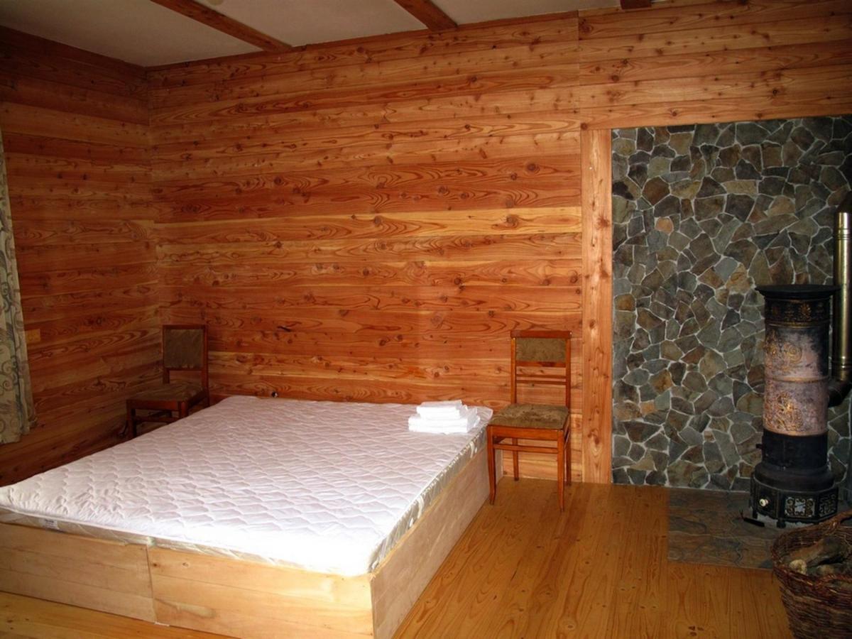 Appartement Полонянка à Bukovinka Extérieur photo