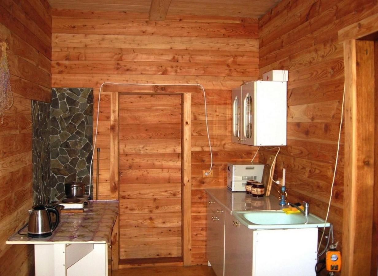 Appartement Полонянка à Bukovinka Extérieur photo